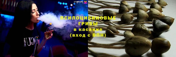 мдпв Белокуриха
