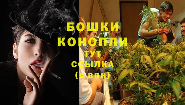 синтетический гашиш Богородицк
