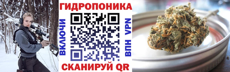где найти   Катав-Ивановск  Марихуана SATIVA & INDICA 
